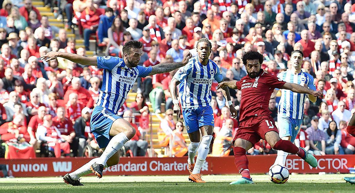 1xBit体育官网app-诺维奇主场战胜布莱顿，保级形势小幅好转！的简单介绍